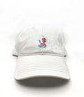 porygon 2 dad hat
