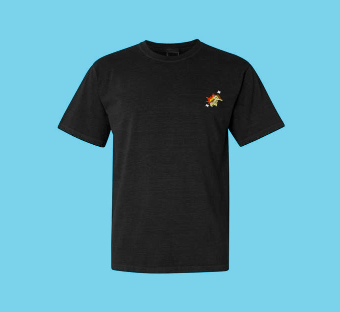 cyndaquil shiny tee shirt
