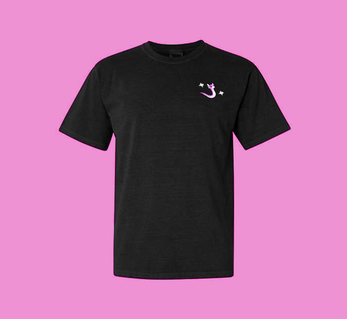 dratini shiny tee shirt
