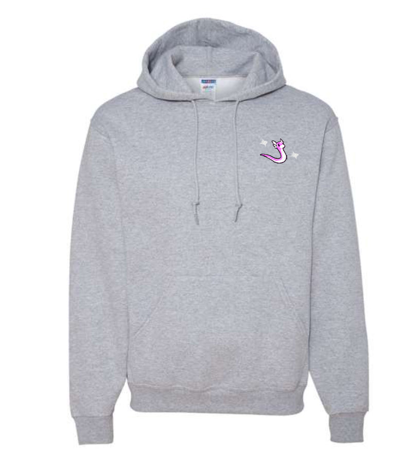 dratini shiny hoodie