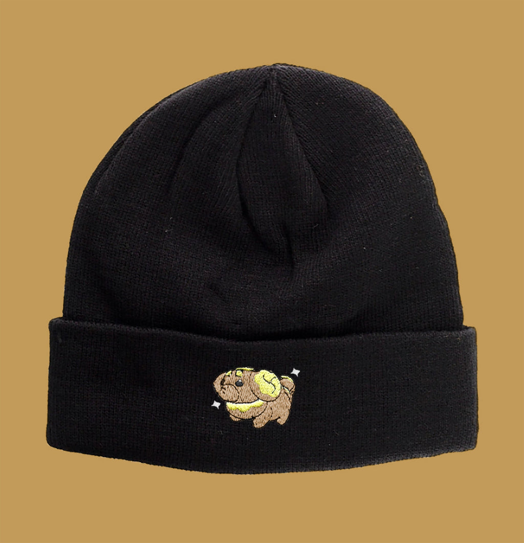 fidough shiny beanie