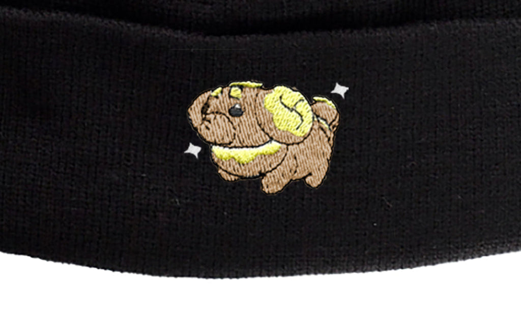 fidough shiny beanie