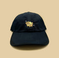 fidough shiny dad hat