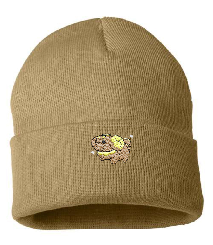 fidough shiny beanie