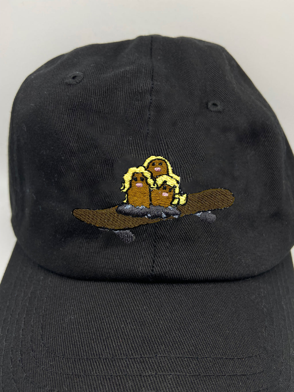 dugtrio sk8 dad hat