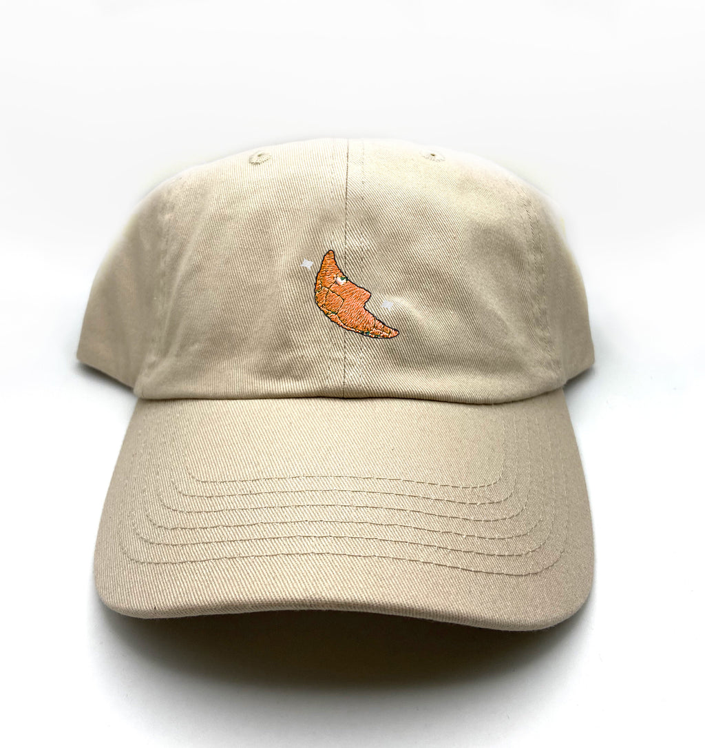 metapod shiny dad hat