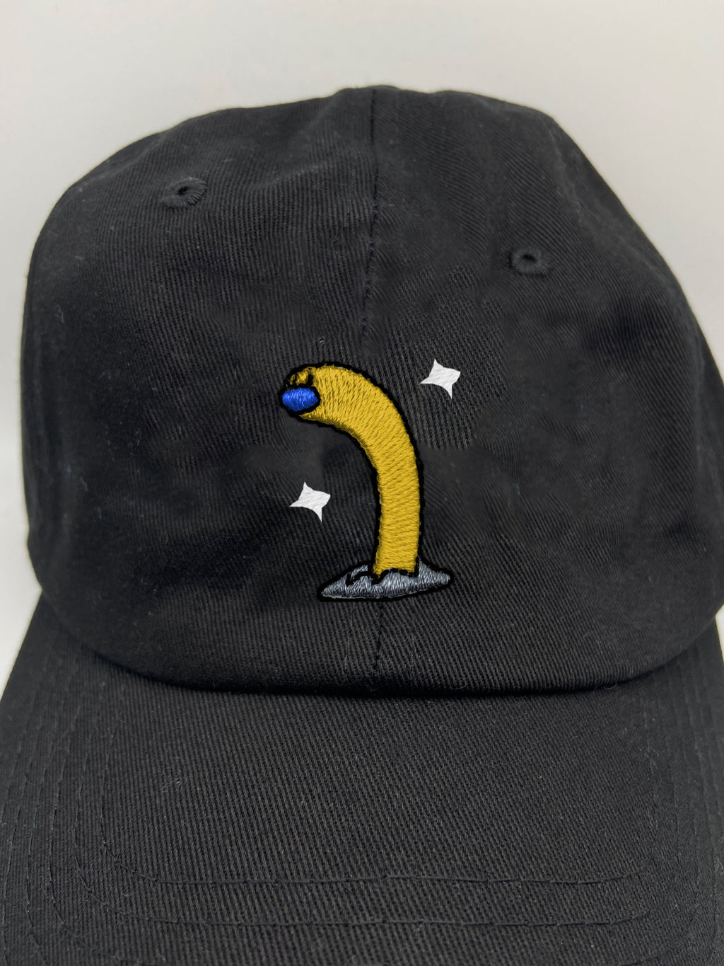 wiglett tall shiny dad hat