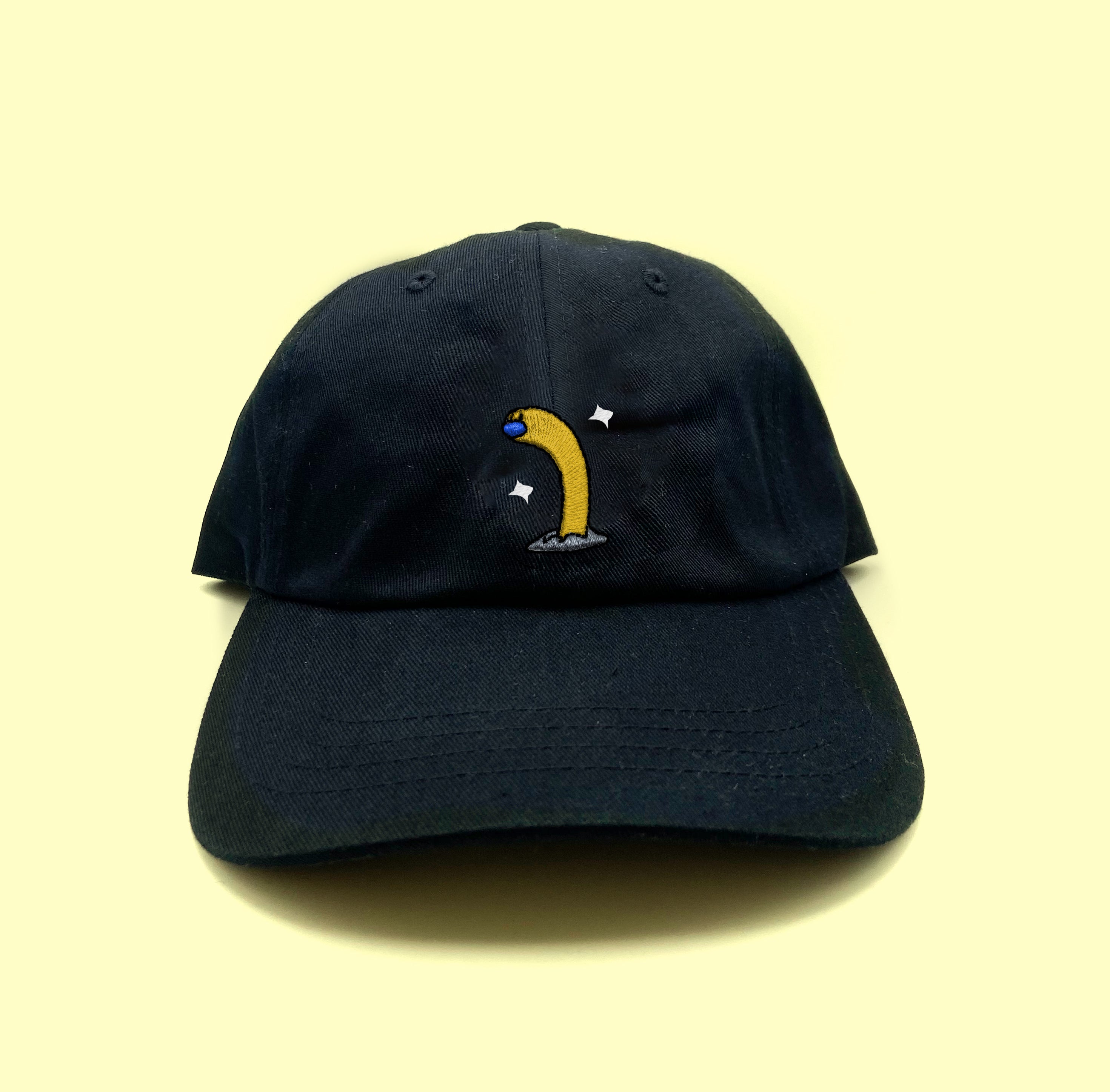 wiglett tall shiny dad hat