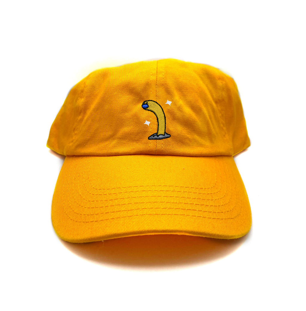 wiglett tall shiny dad hat