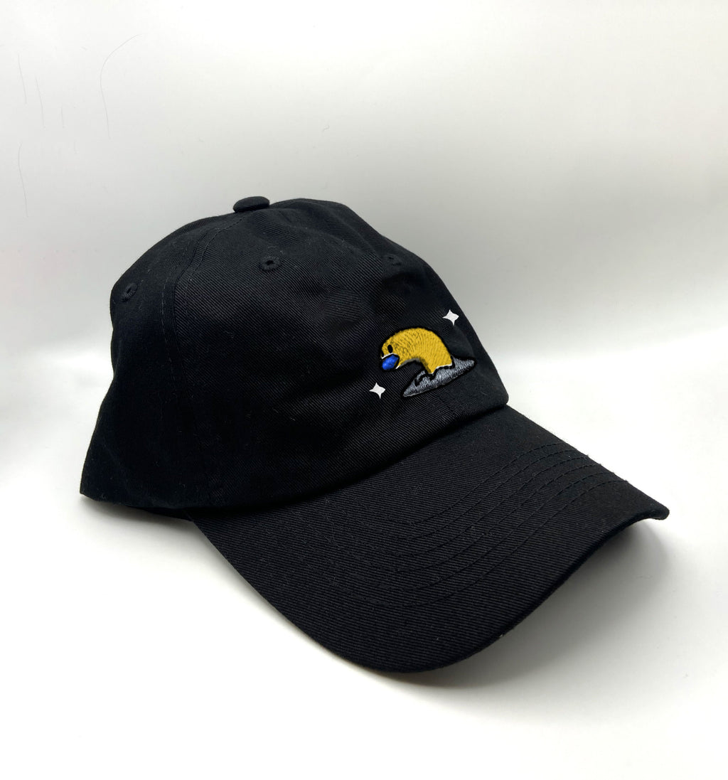 wiglett short shiny dad hat