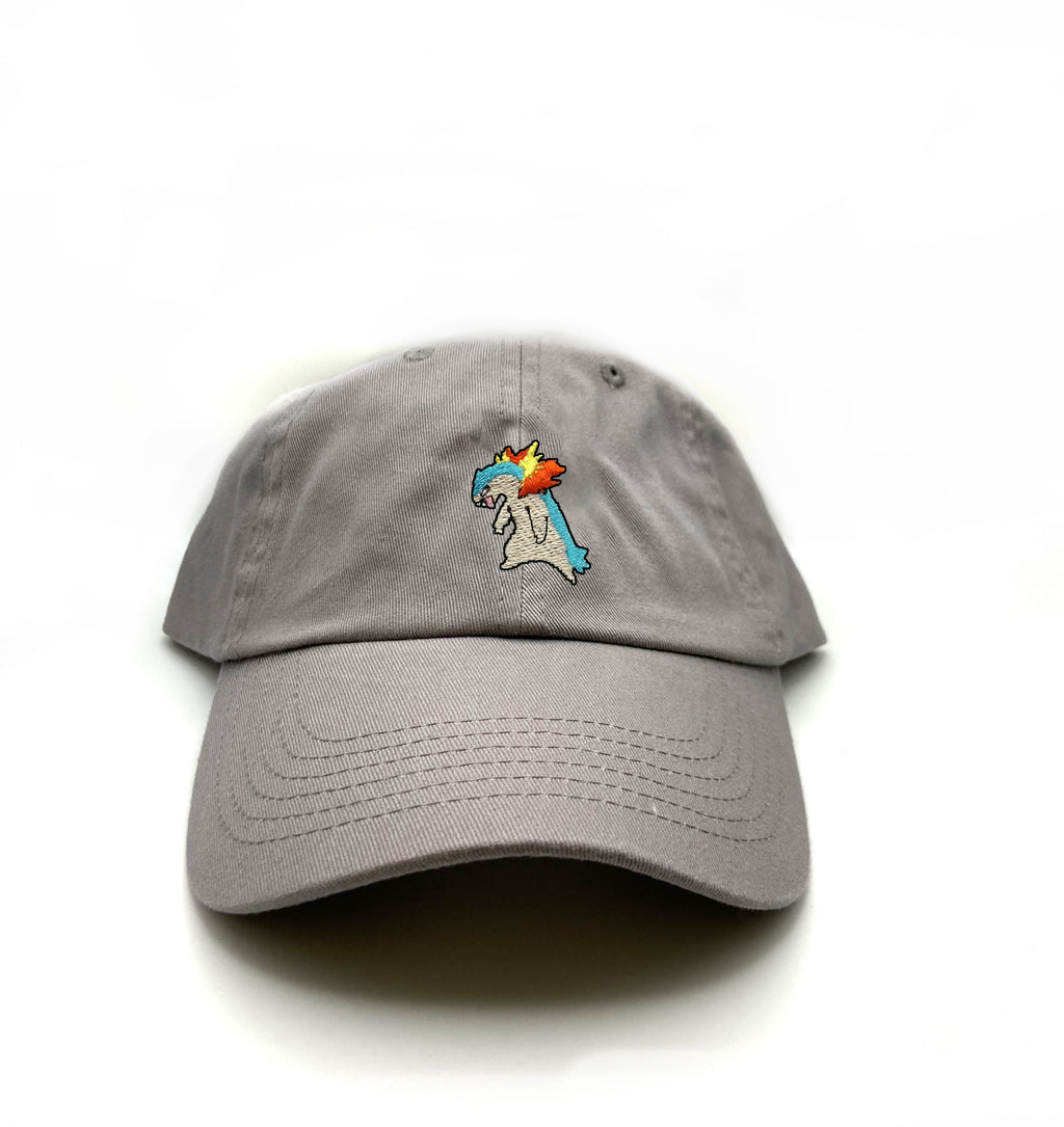 typhlosion dad hat