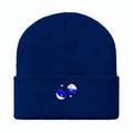 voltorb and electrode shiny beanie