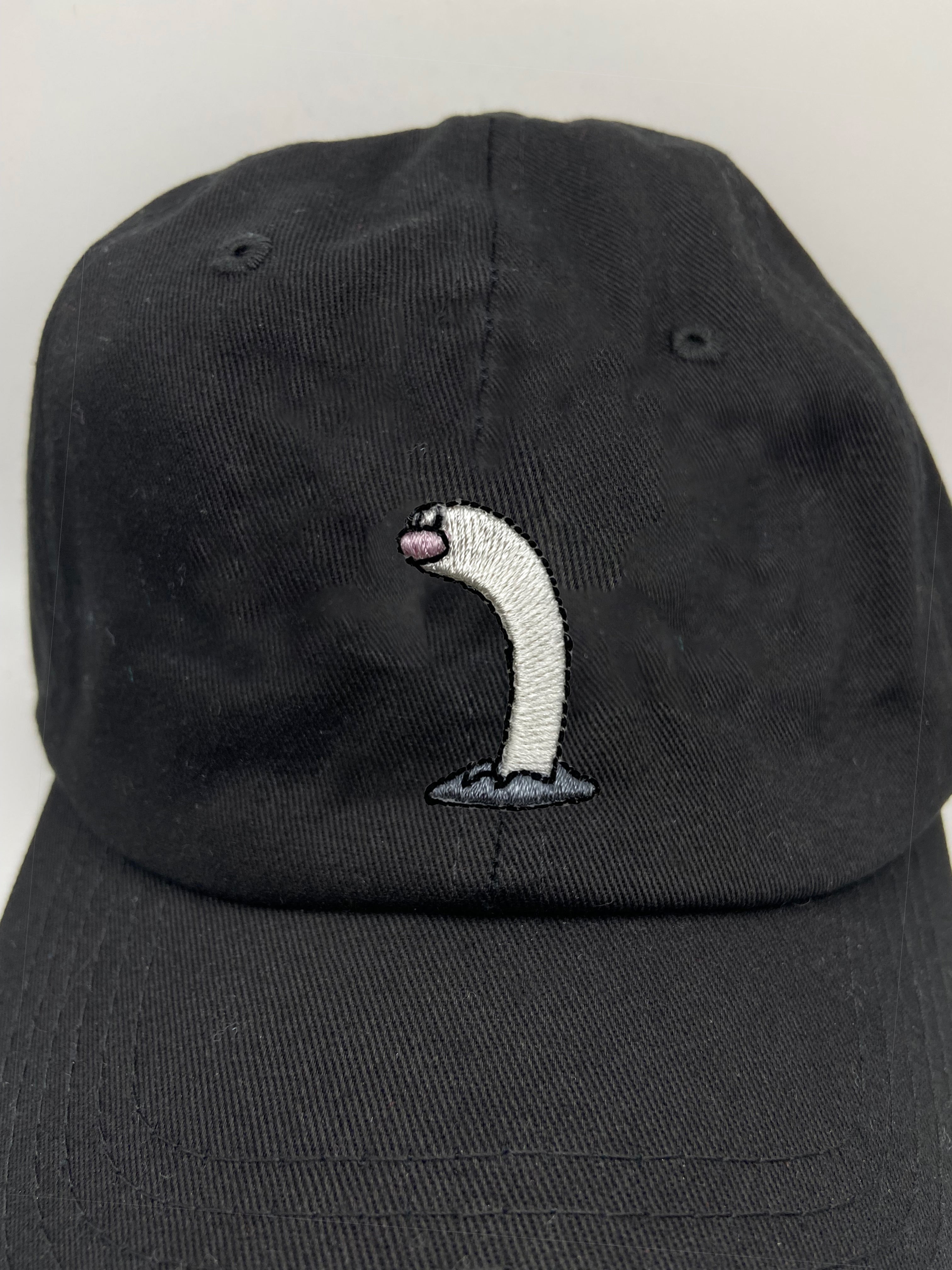 wiglett tall dad hat