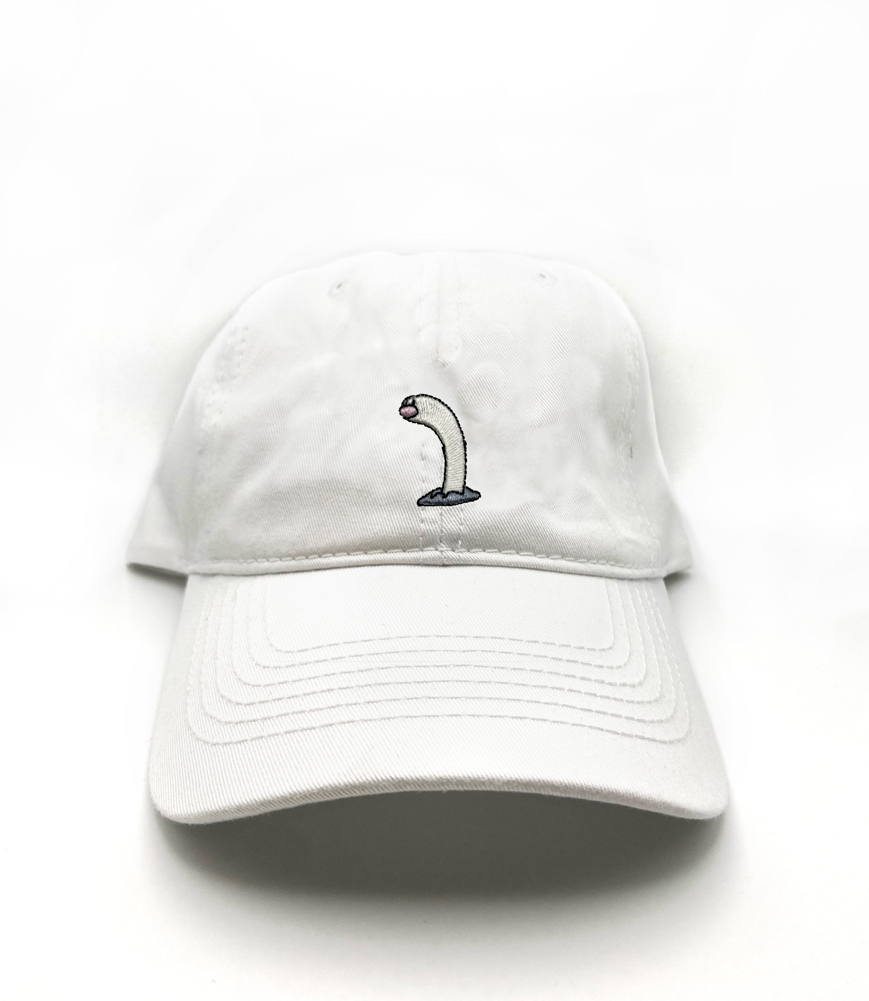 wiglett tall dad hat